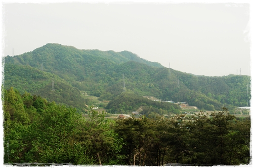 바로 앞산이 청주 제일봉인 선도산이다 